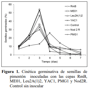 Efecto de bacterias rizosféricas en la germinación y crecimiento del Pimentón Capsicum Annuum l. Var. Cacique gigante - Image 4