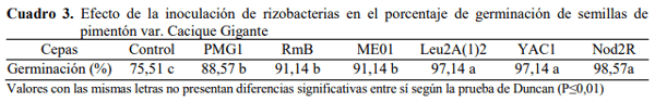 Efecto de bacterias rizosféricas en la germinación y crecimiento del Pimentón Capsicum Annuum l. Var. Cacique gigante - Image 3
