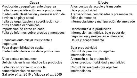 Diagnóstico de la Cadena Productiva Bovinos de Doble Propósito en el Distrito de Desarrollo Rural DDR 008 Cd. Alemán, Veracruz - Image 13