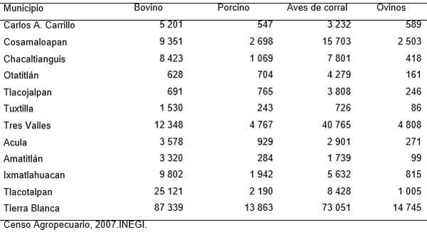 Diagnóstico de la Cadena Productiva Bovinos de Doble Propósito en el Distrito de Desarrollo Rural DDR 008 Cd. Alemán, Veracruz - Image 9
