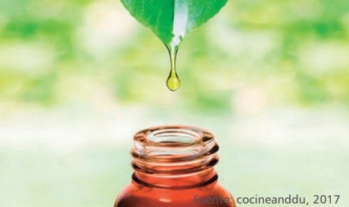 Los aceites esenciales (AE) como aditivos alimenticios en los porcinos - Image 1