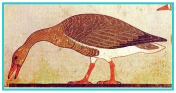 Importancia de la avicultura. Las aves en el Antigüo Egipto - Image 1