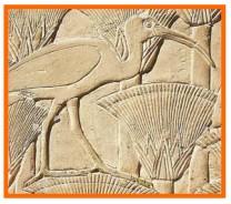 Importancia de la avicultura. Las aves en el Antigüo Egipto - Image 2