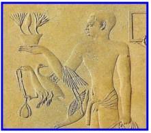 Importancia de la avicultura. Las aves en el Antigüo Egipto - Image 3