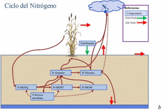 Balance de nitrógeno en sistemas con diferente labranza - Image 3