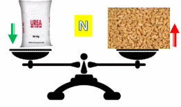 Balance de nitrógeno en sistemas con diferente labranza - Image 1