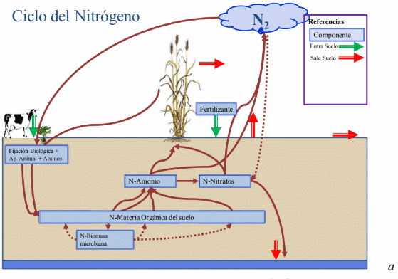 Balance de nitrógeno en sistemas con diferente labranza - Image 2