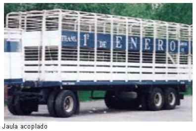 Transporte de hacienda: Taller de capacitación en ganadería de cría - Image 3