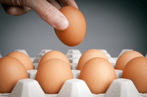 Caso de éxito en producción de huevos - Image 1