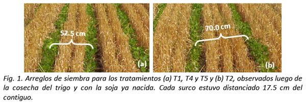 Efectos del estrés hídrico y no hídrico sobre el rendimiento de soja intersiembra en trigo - Image 1