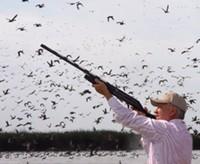 Influenza aviar: oportuna prohibición de la caza deportiva en Colombia - Image 8