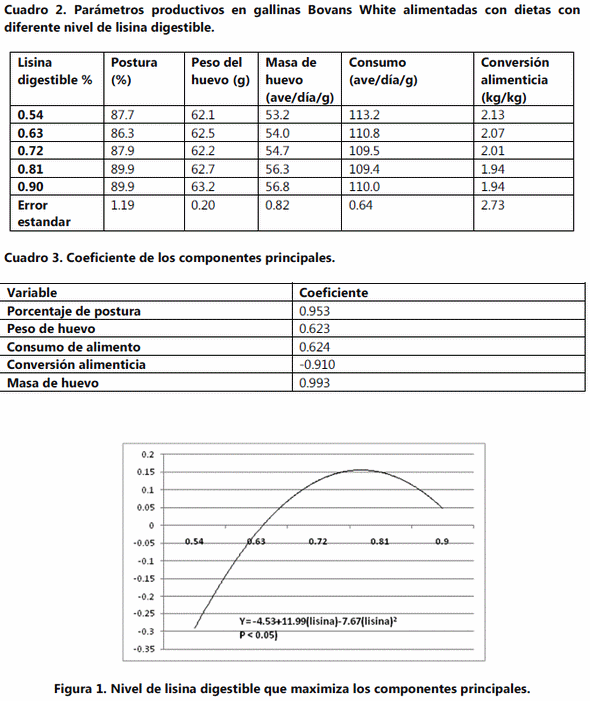 Efecto de diferentes porcentajes de inclusión de lisina digestible en dietas sorgo-soya-ddgs-canola para gallinas bovans blancas - Image 2