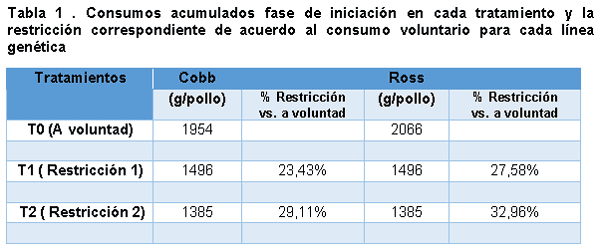 Evaluacion de la restriccion alimenticia y su efecto en la ascitis aviar en dos lineas geneticas de pollos en la sabana de Bogotá - Image 1