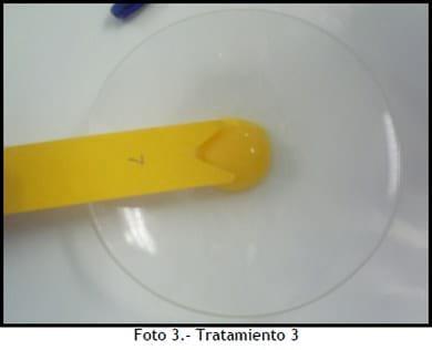 Evaluación de Oleorresina de Achiote como pigmentante natural para la yema de huevo en gallinas de postura - Image 17