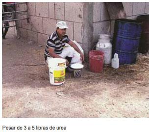 Guía de suplementación alimenticia estratégica para bovinos en época seca - Image 89