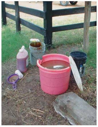 Guía de suplementación alimenticia estratégica para bovinos en época seca - Image 70