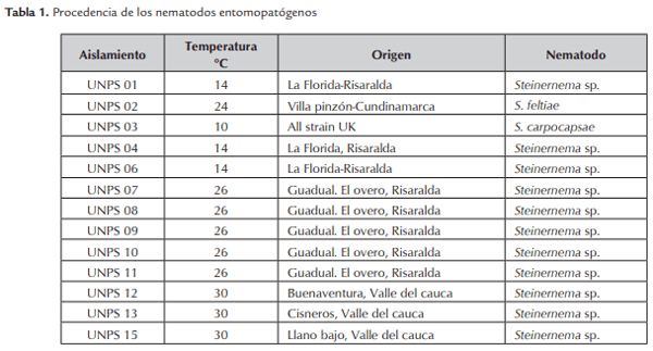 Evaluación de la patogenicidad de Xenorhabdus spp. nativos en Colombia - Image 1