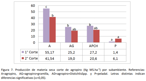 Implantación y producción de Agropiro (Agropirum Ponticum) en suelos bajos con diferentes condiciones de suelo y malezas. Experiencia en campo de productor - Image 8