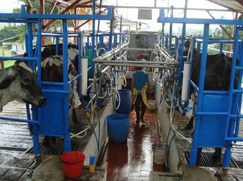 Parametros tecnicos del 2013 a 2018 en ganaderías de leche especializada en zona cafetera del Departamento de Caldas - Image 4