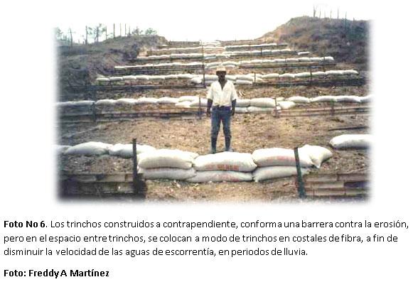 Proyecto de capacitación en alternativas biomecánicas adecuadas para la recuperación de áreas afectadas por erosión en la zona andina de Colombia y América Latina - Image 6