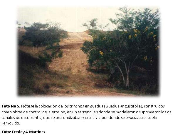 Proyecto de capacitación en alternativas biomecánicas adecuadas para la recuperación de áreas afectadas por erosión en la zona andina de Colombia y América Latina - Image 5