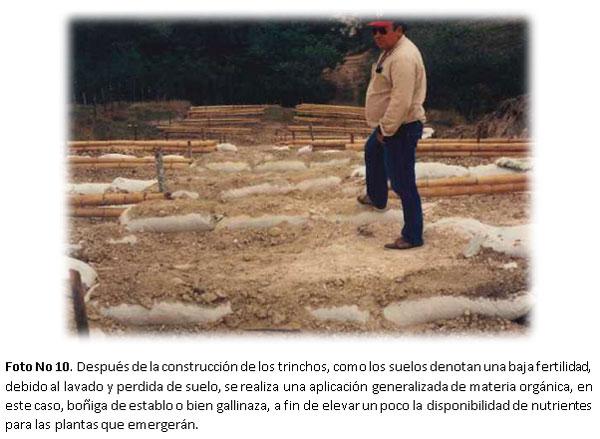 Proyecto de capacitación en alternativas biomecánicas adecuadas para la recuperación de áreas afectadas por erosión en la zona andina de Colombia y América Latina - Image 10
