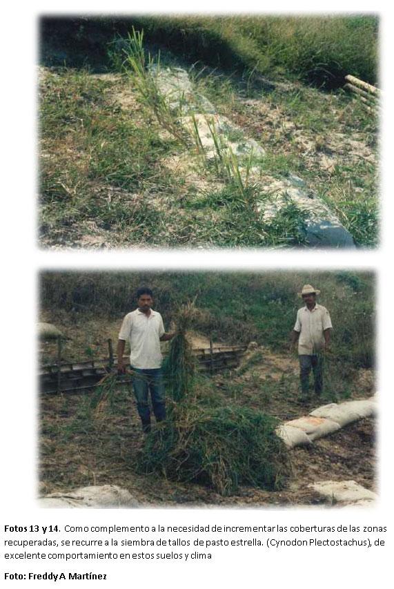 Proyecto de capacitación en alternativas biomecánicas adecuadas para la recuperación de áreas afectadas por erosión en la zona andina de Colombia y América Latina - Image 12