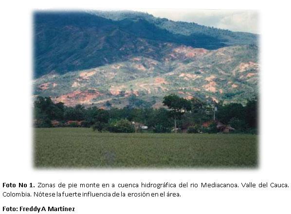 Proyecto de capacitación en alternativas biomecánicas adecuadas para la recuperación de áreas afectadas por erosión en la zona andina de Colombia y América Latina - Image 1