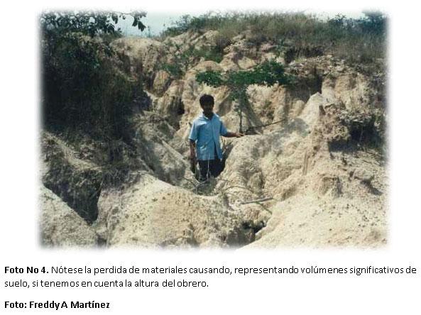 Proyecto de capacitación en alternativas biomecánicas adecuadas para la recuperación de áreas afectadas por erosión en la zona andina de Colombia y América Latina - Image 4