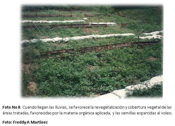Proyecto de capacitación en alternativas biomecánicas adecuadas para la recuperación de áreas afectadas por erosión en la zona andina de Colombia y América Latina - Image 8