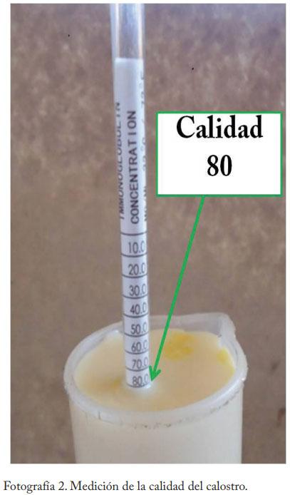 Pasteurización del calostro - Image 3