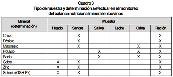 Desequilibrios Minerales de Bovinos en Pastoreo y su efecto sobre la Salud y Producción Bovina - Image 7