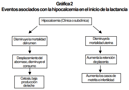 Desequilibrios Minerales de Bovinos en Pastoreo y su efecto sobre la Salud y Producción Bovina - Image 3