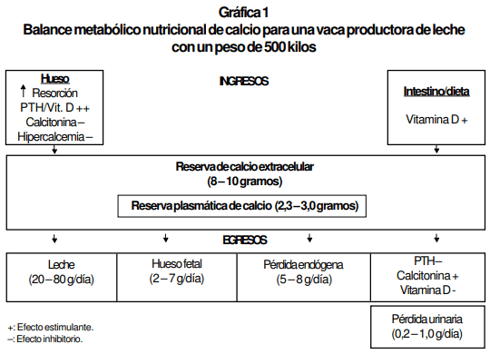 Desequilibrios Minerales de Bovinos en Pastoreo y su efecto sobre la Salud y Producción Bovina - Image 2