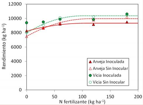 Efecto residual en maíz de la inoculación en arveja y vicia - Image 3