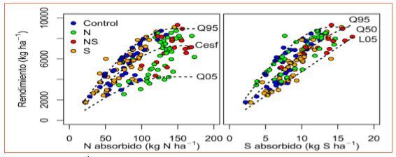 Absorción de N y S en cebada: relaciones con rendimiento y proteína - Image 4