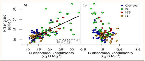 Absorción de N y S en cebada: relaciones con rendimiento y proteína - Image 8