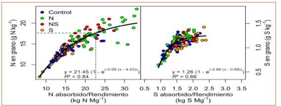 Absorción de N y S en cebada: relaciones con rendimiento y proteína - Image 5