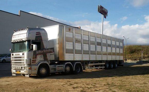Beneficios de la mejora del transporte de ganado porcino sobre la sanidad y seguridad alimentaria - Image 7