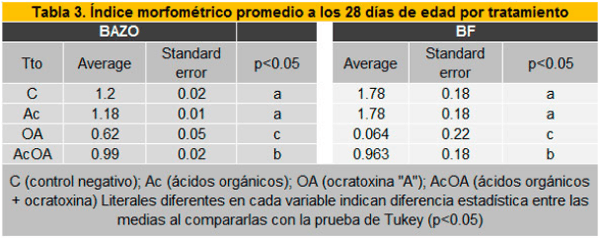 Efecto de los ácidos orgánicos encapsulados sobre los parámetros productivas en pollos de engorda que consumieron alimento con Ocratoxina - Image 6