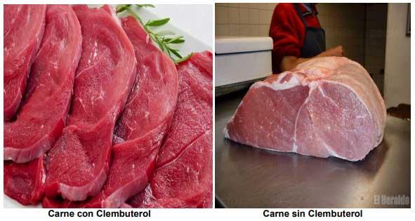 Guatemala - El Clembuterol es un producto de uso prohibido dentro de la alimentación del ganado bovino - Image 1