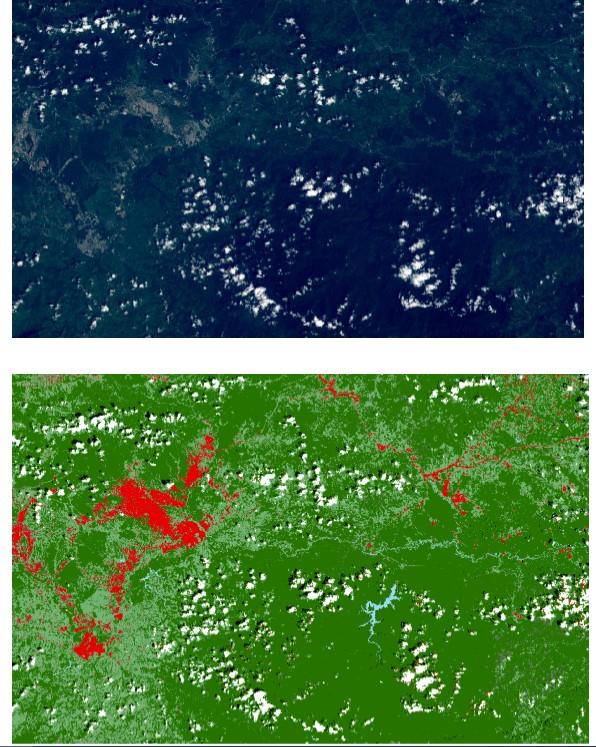 Minería de datos y agricultura inteligente: Una aplicación en la generación de mapas de cobertura de la tierra a partir de imágenes multiespectrales - Image 20