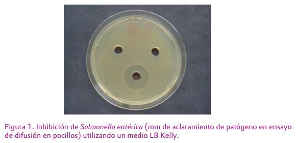 Efecto de Bacillus amyloliquefaciens CECT 5940 en la inhibición de Salmonella <em>in vitro e in vivo</em> - Image 2