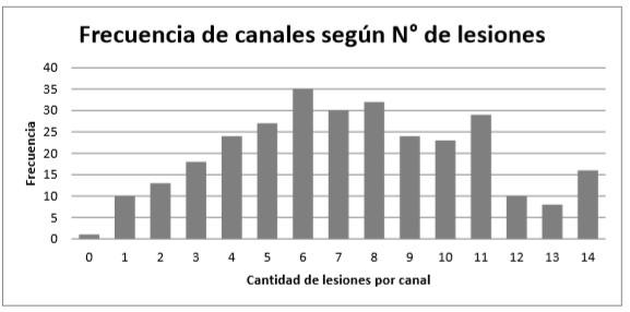 Evaluación de las contusiones y del pH en canales bovinas en un matadero de la provincia de Santa Fe - Image 2