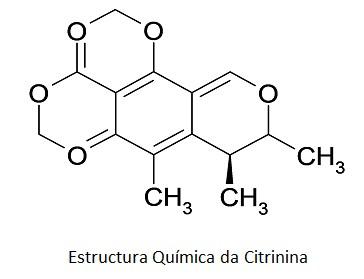 Citrinina, grave problema de intoxicación alimentaria - Image 1