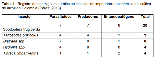 Manejo integrado de spodoptera frugiperda en el cultivo de arroz en Colombia - Image 1