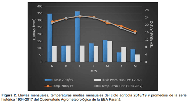 Maíz para silaje: evaluación de híbridos en siembra temprana y tardía en el ciclo agrícola 2018/19 - Image 4