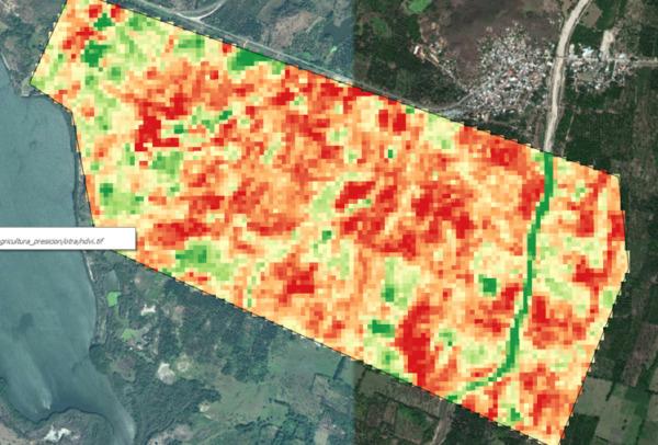 Cómo analizar el estado de cultivos con teledetección satelital - Image 18