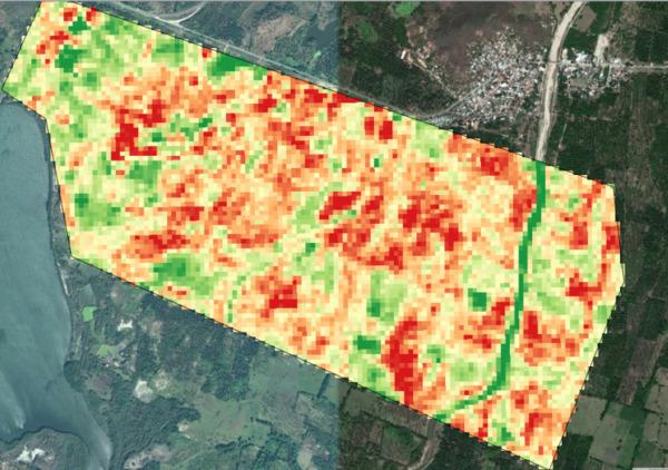 Cómo analizar el estado de cultivos con teledetección satelital - Image 14