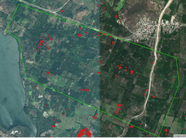 Cómo analizar el estado de cultivos con teledetección satelital - Image 19